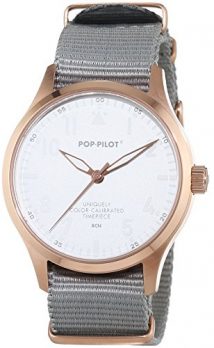 Pop-Pilot Uhr | Armbanduhr Pilgrim | graue Armbanduhr | Armbanduhr rmit grauem nylonband